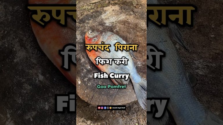 MASALA FISH CURRY RECIPE | Fish Curry Aagri Koli Style | Easy Fish Curry Recipe #shorts #cooking