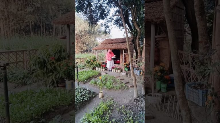 চলো পরিচিত হই আমি তাসলিমা আক্তার নূরী ,তুমি ?#village #villagelife #cooking #recipe #shortvideo