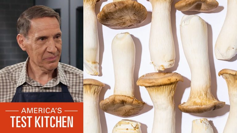 Expert’s Guide to Mushrooms