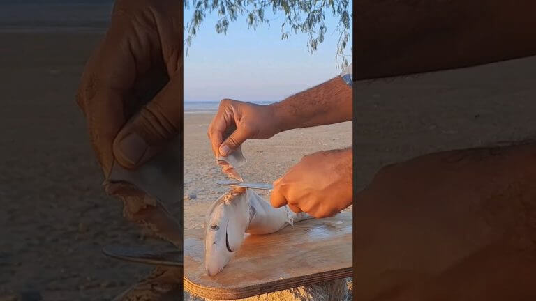 A wonderful taste for #seafood  #shorts #asmr #cooking #nature #recipe