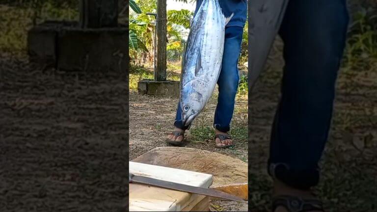 DELICIOUS BIRIYANI WITH TUNA FISH COOKING  at village 🐟 🐠  😋 🦈🦈 #shorts #trending