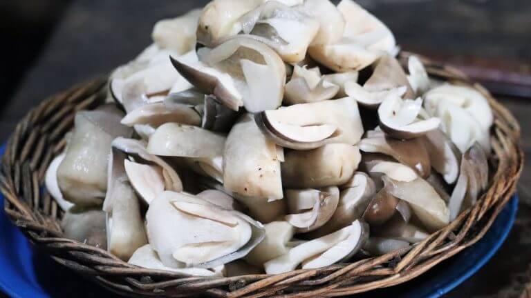 MUSHROOMS – MINCED PORK RECIPE!! Unique Cooking Mushrooms With Minced Pork, Cooking In Village