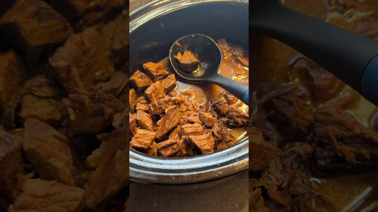 B-Lion (Carnivore Diet) Day 345 eating Meat! Beef Stew