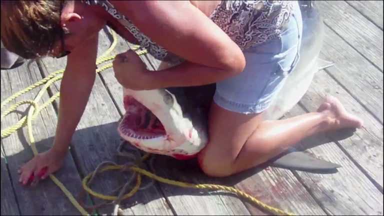 Teaser, coming seafood recipes, jellyfish?