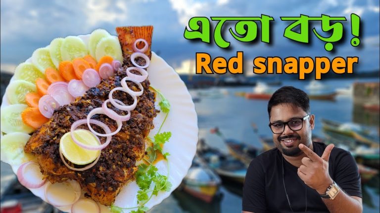 ১.৫ কিলো ওজনের আস্ত রেড স্ন্যাপার এর ফ্রাই । Seafood recipes ।Red snapper recipe । Red snapper
