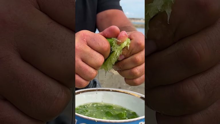 Chef Kanan's Special Recipe for Cooking Crayfish in a Pit by the Sea 🤤