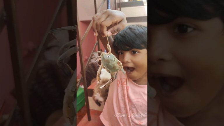 Sea Crab cleaning short | Crab Cleaning #seafood  #trending #shorts #recipe #status #funny