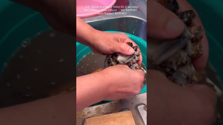 MASAKAN YANG AMA GAK BISA MASAK‼️ #resepmudah #idejualanmodalminim #resepsimple #kampunghalaman