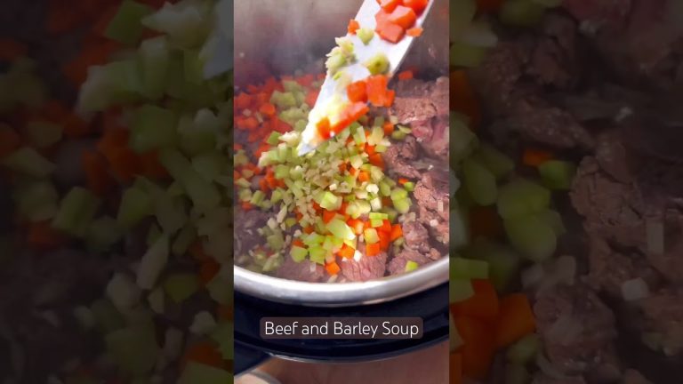 Beef and Barley Soup inside Instant Pot #recipe