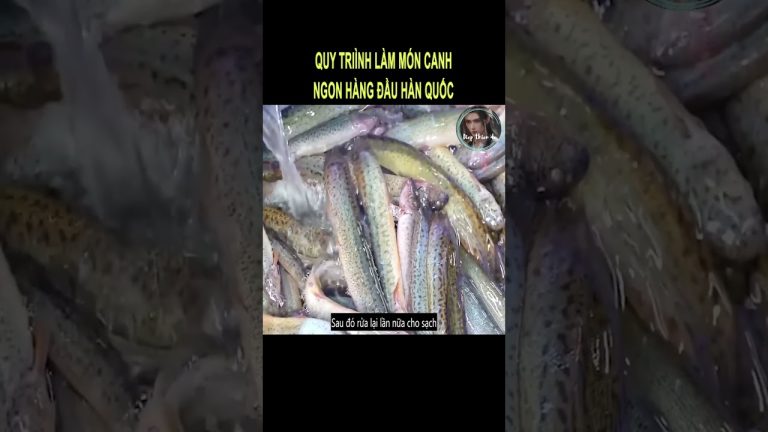 Quy trình làm món canh ngon hàng đầu Hàn Quốc #shorts #review #reviewphim