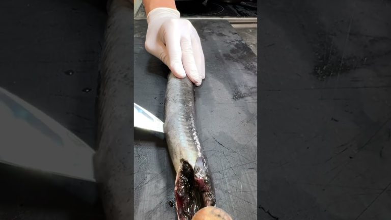 幻のくろうなぎ