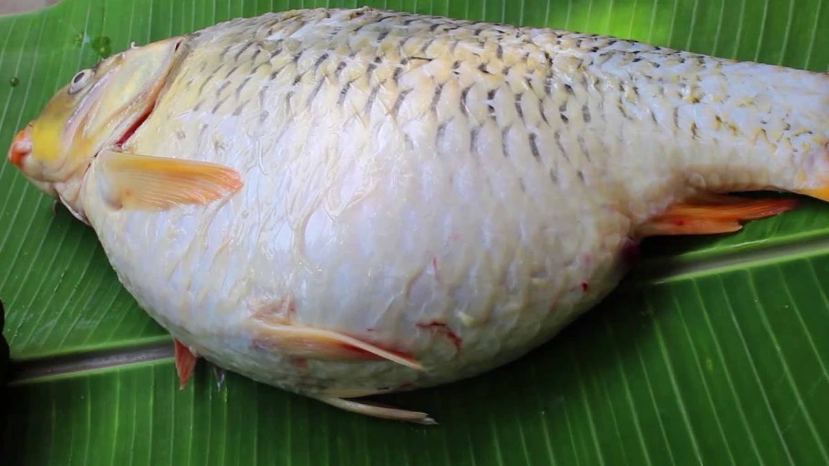 Fish Eggs Curry Recipes | Corp Fish Egg Spicy Fry by Grandma's Cooking | Fish Curry