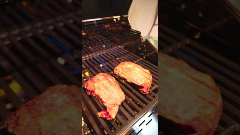 Outdoor Cooking or Grilling? Proline Range Hoods BBQ Hood is Perfect for your Eating Space