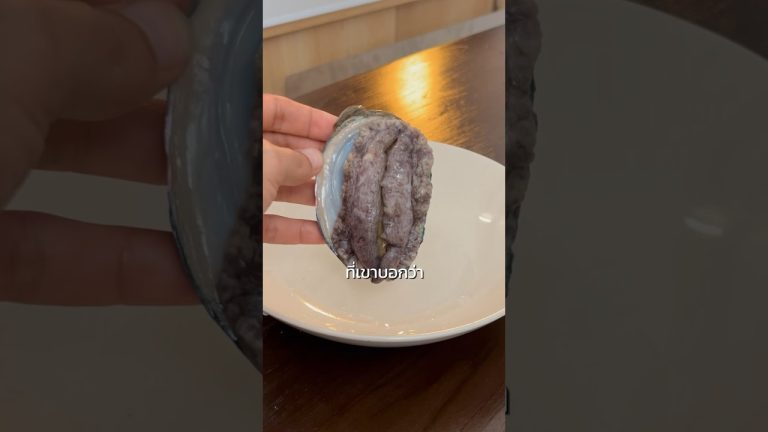 3 หอยแปลก จากญี่ปุ่น 🐚 #Seafood #betagen #ชาหมักบีทาเก้น