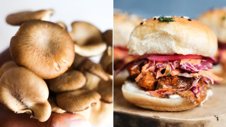 These recipes will make you love mushrooms | how to cook oyster mushrooms