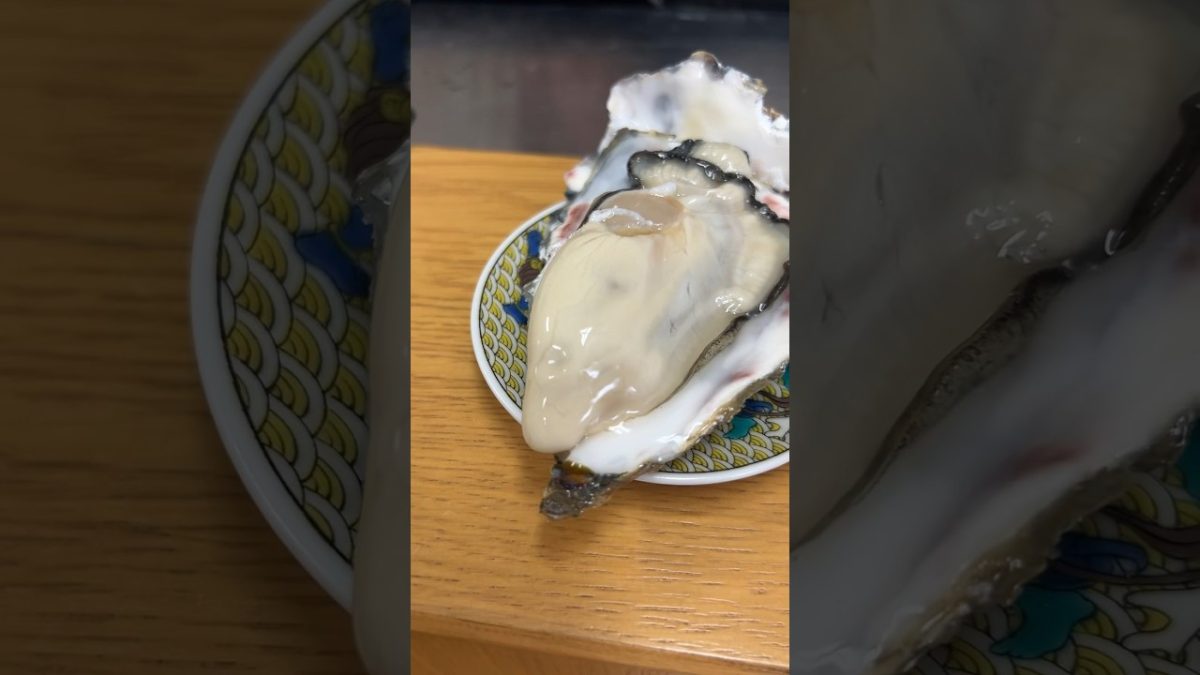 厚岸の 真牡蠣！ 開けてみます #せり人ムタロー #shorts