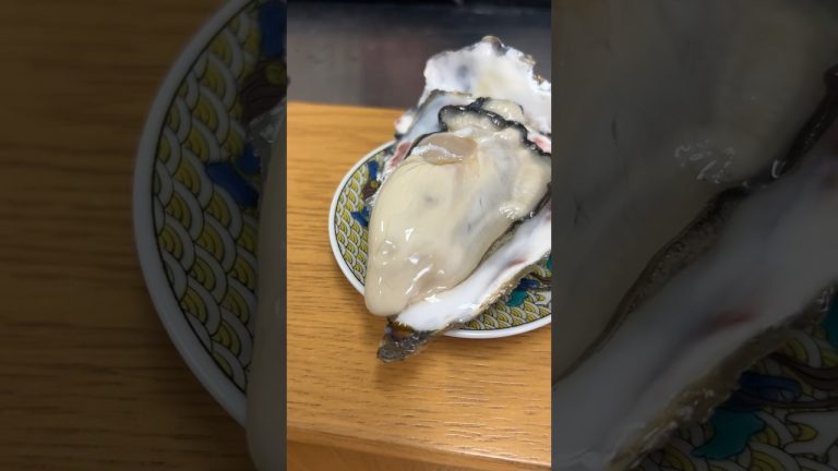 厚岸の 真牡蠣！ 開けてみます #せり人ムタロー #shorts