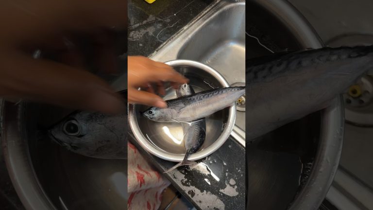 How to clean Tuna Fish| Tip to cleaning #fish #seafood #tuna #cleaning #shotoniphone #trending #wow