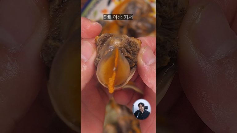 꼬막 크기가 이게 맞나요?????