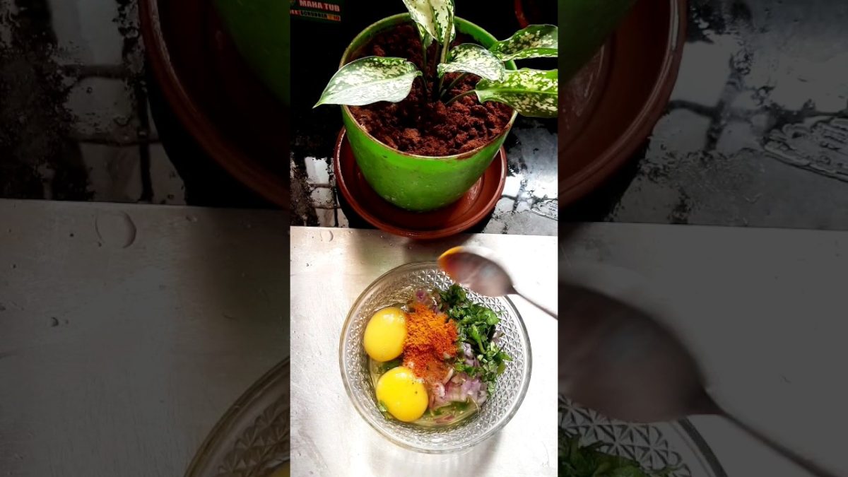 How To Make Simple Morning Breakfast Bread and Two Eggs🍞🥚 #shorts #shortvideo #egg #omelette