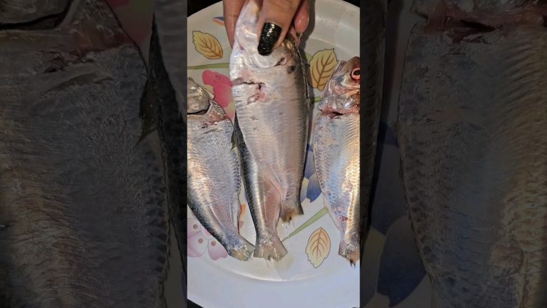 khoka Elisha 😋 #recipe #food #fry #fish #shorts #ytshorts #foodie #foodvlog #recipes #bengali #viral