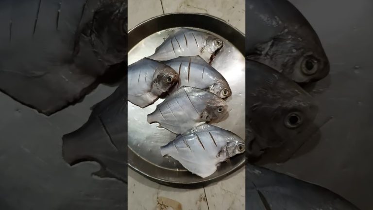 Pomfret Fry | Fish Fry | Paplet Fry #pomfretfry #fishfry #fishrecipe