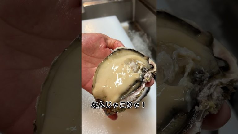 三重県 伊勢 から来た 天然 岩牡蠣！ 開けてみます！#せり人ムタロー #shorts