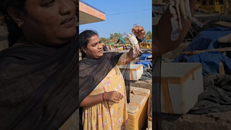 సముద్రపు పీతలు రొయ్యలు కొన్నాము😋|#shorts #fishing #seafood #recipe