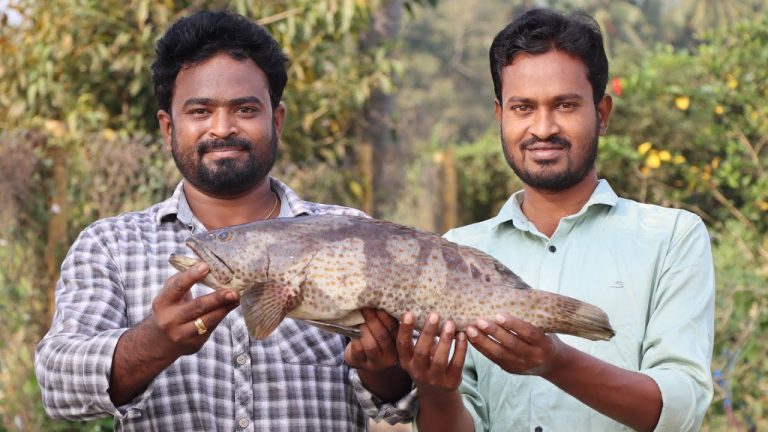 Hamour Fish Curry || Fish Curry Recipe || Ranganayakamma Kitchen