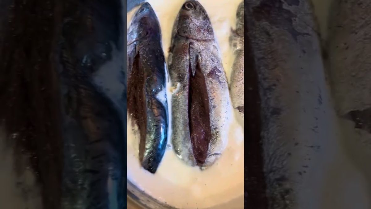 Tuna mackerel recipe #foodie #fish #cooking #recipe