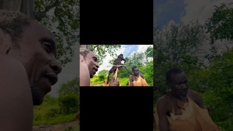 Hadzabe How prepare BUSHCAT BBQ for food