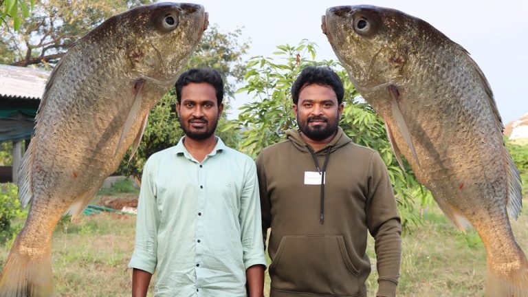 Seafood Fish Fry Recipes || Andhra Style Spicy Fish Fry Recipe || Ranganayakamma Kitchen