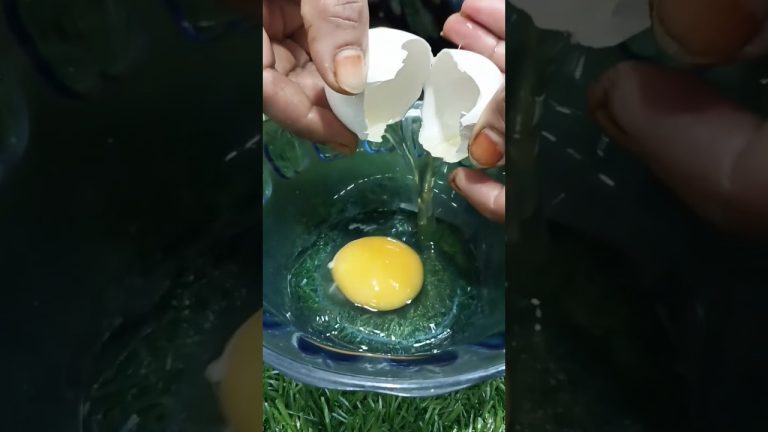 Bread Breakfast Recipe | Manu Ki Kitchen| #food #cooking #virlshort #nonvegrecipe #eggrecipe #recipe