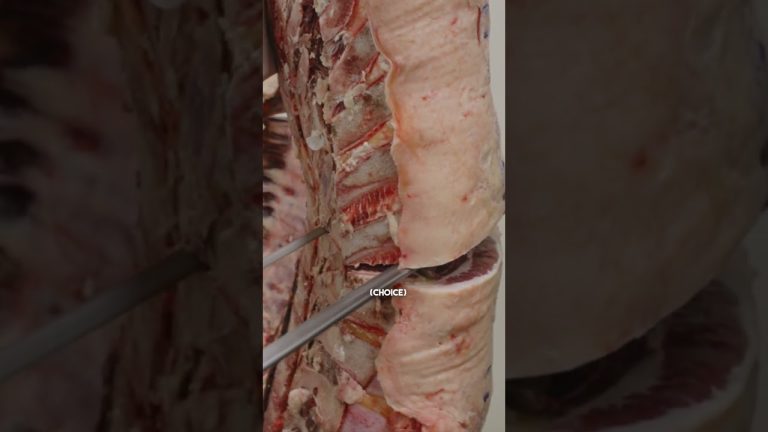 Prime vs. Choice… what's the difference? 🥩  #shorts