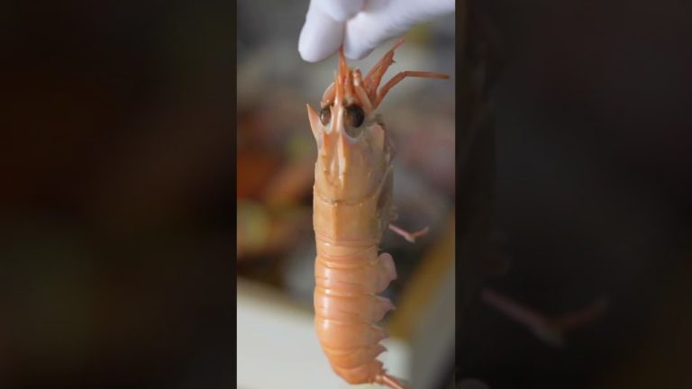 군대 선후임과 비오는 날 캠핑가서 먹는 요리