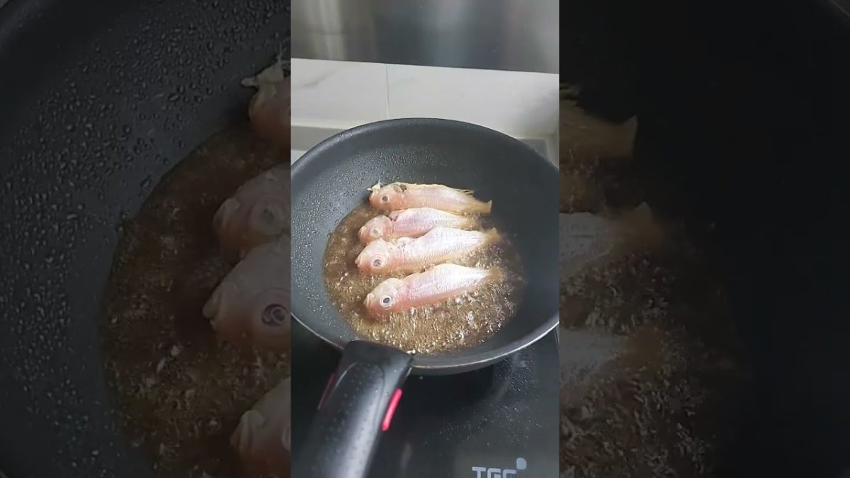 fried fish