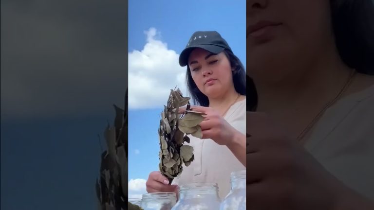 chicken kari🍖🍖🍖🍠#food #cooking #chicken #recipe #beef #beefrecipe