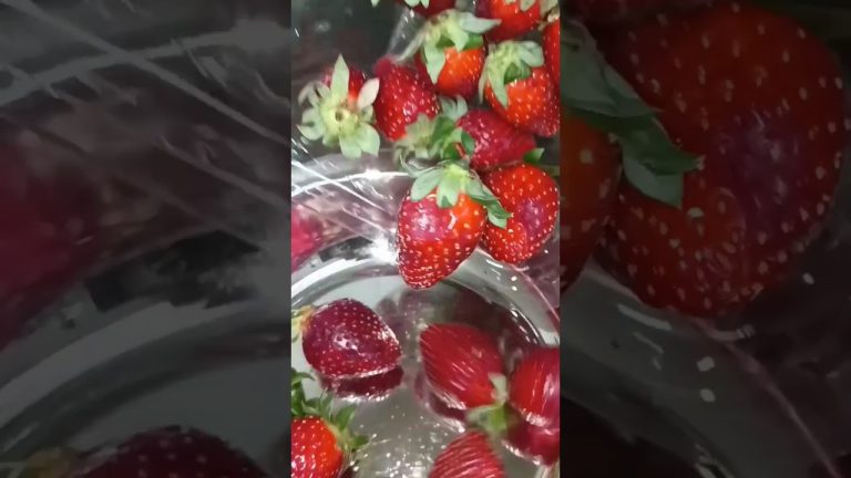 Strawberry Milkshake | Strawberry Milkshake Recipe at Home | Easy Strawberry Shake Recipe |Milkshake