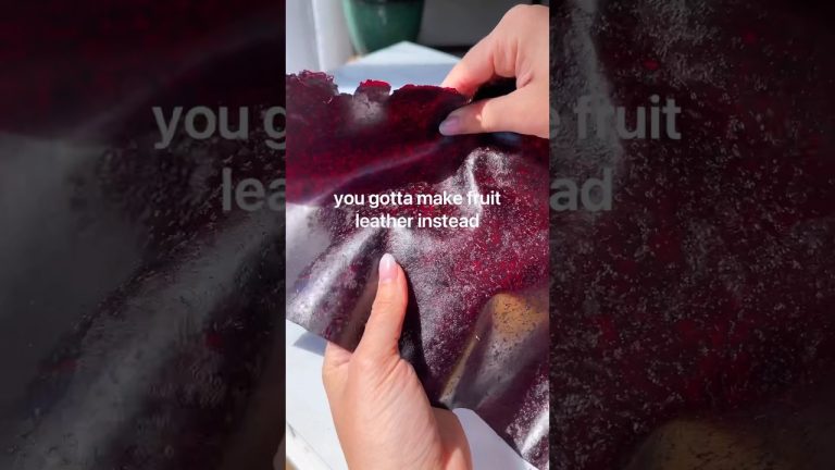 fruit leather, page 258 of Scrappy Cooking #recipe #dessert #earthmonth #zerowaste