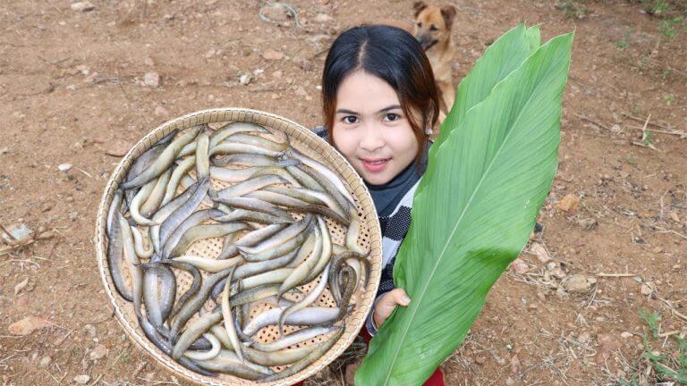 Awesome Cooking Peacock eel With Recipe delicious – Cook Fish Recipes – Village Food Factory