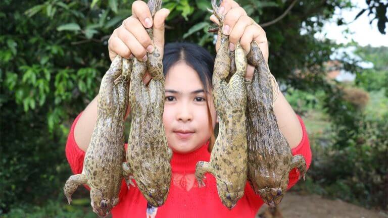 Awesome Cooking Frog Soup Delicious Recipe – Cook Frog Recipes – Village Food Factory