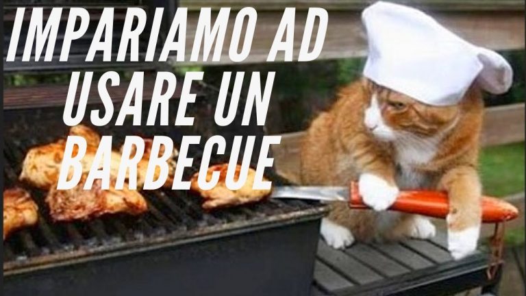 Come funziona un BBQ a carbonella Weber Kettle e similiari guida completa #weber