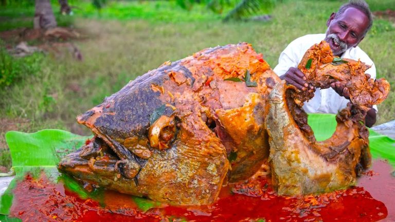 GIANT FISH HEAD RECIPE | முரட்டு மீன் தலை கறி | DELICIOUS SPICY TUNA FISH HEAD CURRY|Village Grandpa