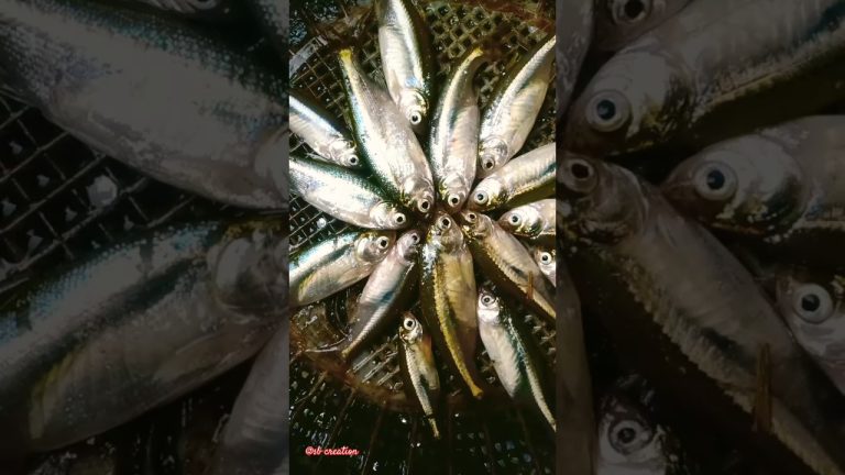 Fish lovers have you try this recipe 🤤 chuna macha #food #recipe #ytshorts