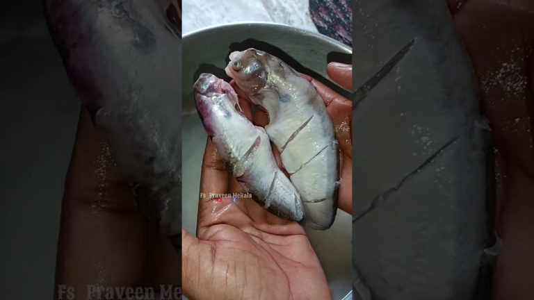 పొడుగు మీసాల చేపలు 😅