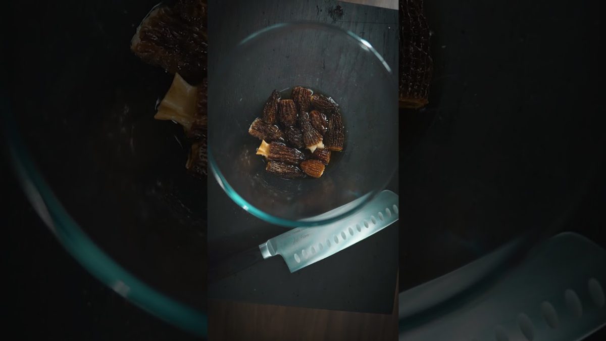 5000 pln grzywny za zbieranie grzybów? #foxxgotuje #smardze #morels #przepis #makaron #grzybobranie