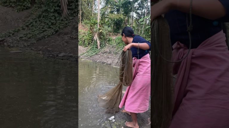 মাছৰ লগত খৰিছা বনালো // বাহৰ খৰিছা // মাছৰ মাঠা // Fish Recipe // Village Girl // Mini Vlog #shorts