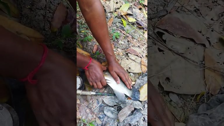 কাঁটা খুলছি #fishing #fishl #seafood #fishh #fish #food #sholfish #seafoodrecipes #fissh #satisfying