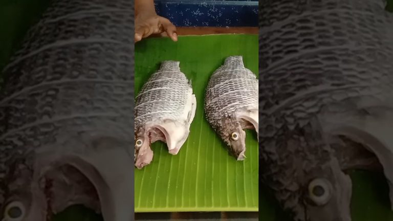 #fish#recipe #shorts #video #healthy #food #tamil #@Homemade Dish