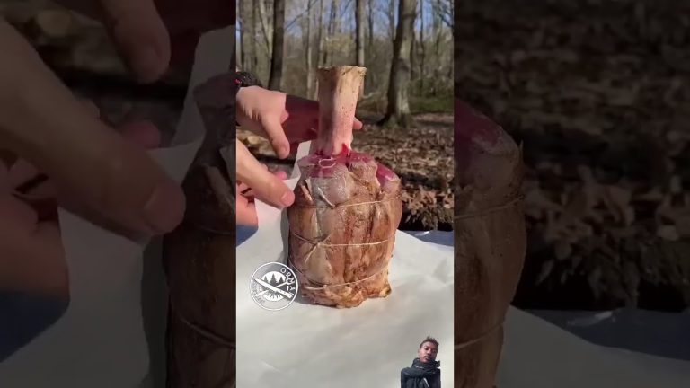 #food #fishfrylover #cooking #seafoodrecipes #love #fishrecipe #chicken #chickenlittiinpatna